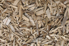 biomass boilers Cargill